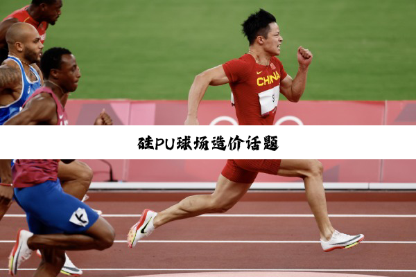 硅PU球场造价话题