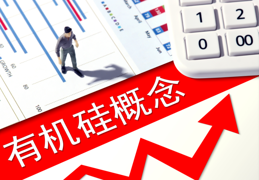 量价齐升带动业绩爆发，硅化工龙头半年报大幅预喜
