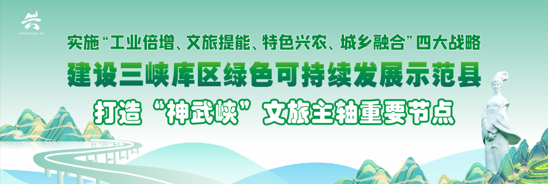湖北兴振3万吨有机硅项目完成主体施工