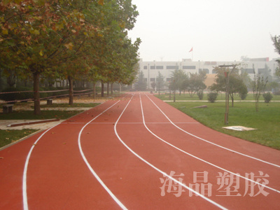 本公司采用的塑胶铺装材料和铺装技术经过近二十年的应用和不断改进，已日趋完善，