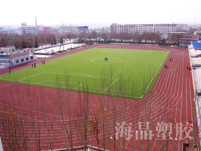 1、新泰市体育场塑胶跑道、人造草坪足球场、篮球场